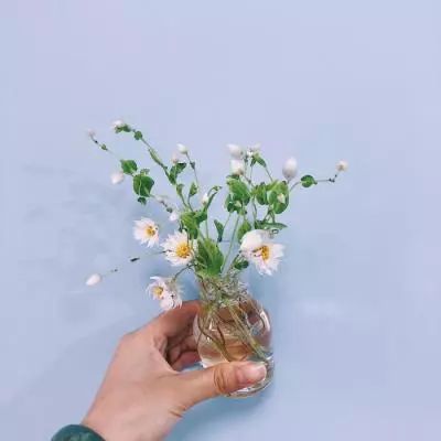 loveunholyc最新版下载