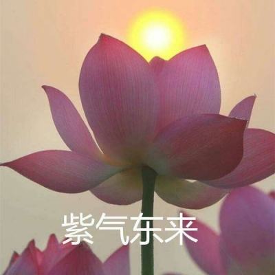 空之轨迹羁绊破解版下载